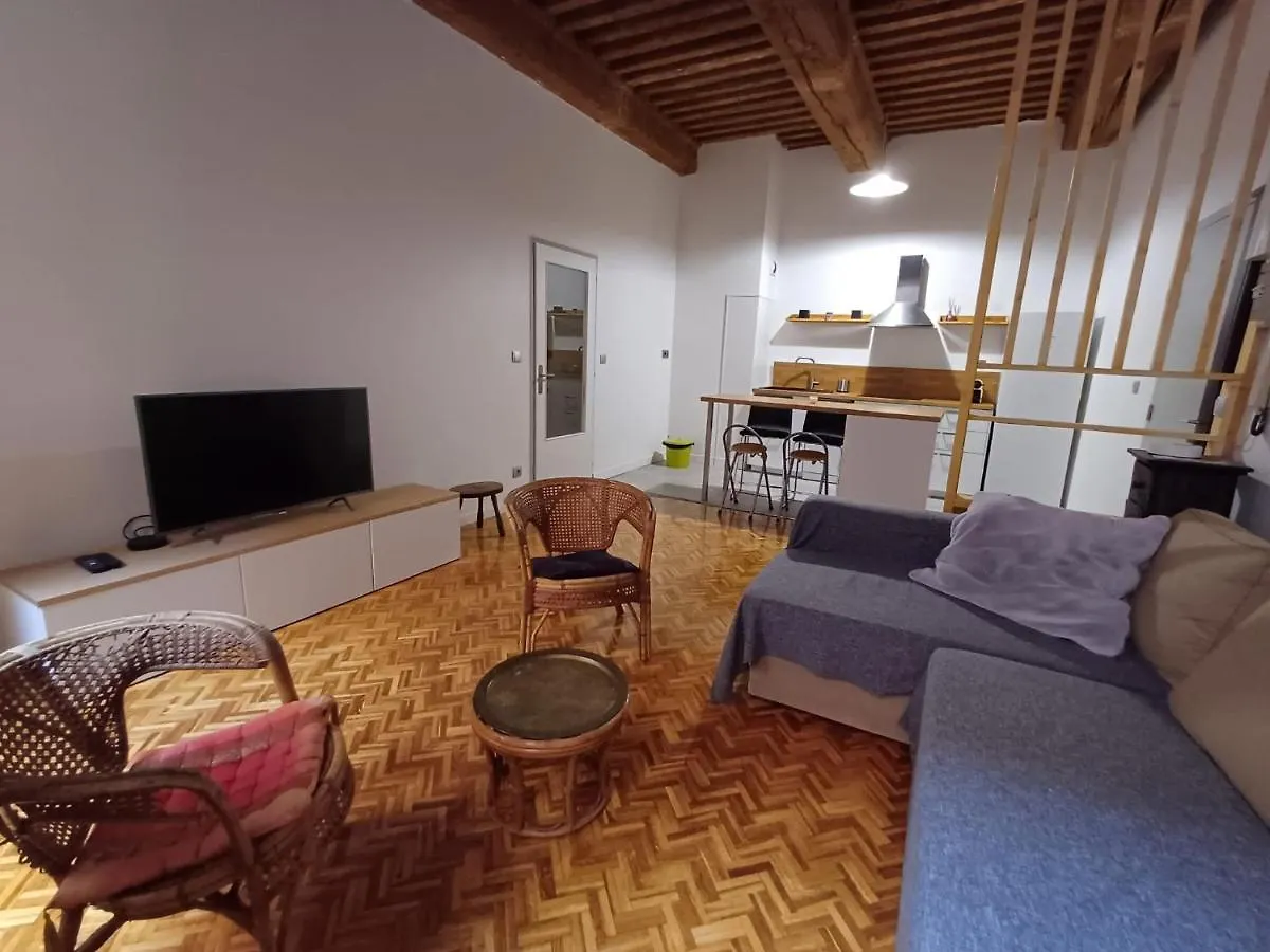 Appartamento Old Town - Vieux Lyon -50 M2 Flat
